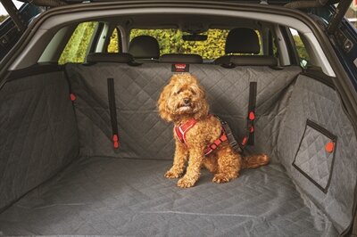 KONG ULTIMATE CARGO AUTO HONDENDEKEN