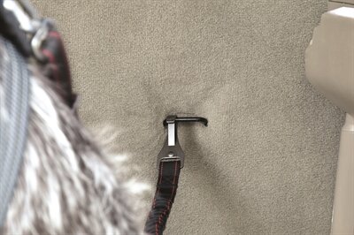 KONG AUTOGORDEL HOND CARGO SWIVEL