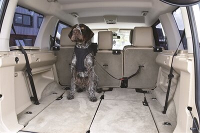 KONG AUTOGORDEL HOND CARGO SWIVEL