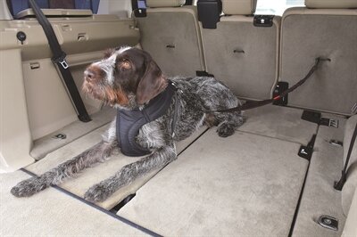 KONG AUTOGORDEL HOND CARGO SWIVEL