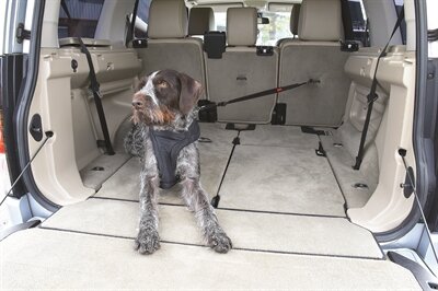 KONG AUTOGORDEL HOND CARGO SWIVEL