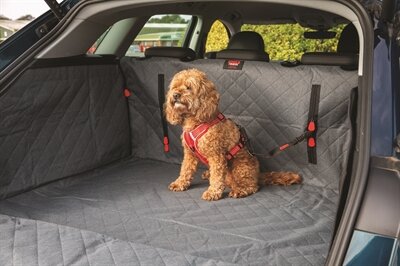 KONG AUTOGORDEL HOND CARGO SWIVEL