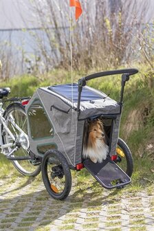 TRIXIE FIETSKAR GRIJS / SALIE