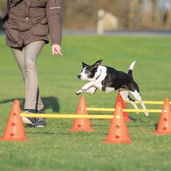 TRIXIE DOG ACTIVITY HORDENSET