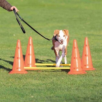 TRIXIE DOG ACTIVITY HORDENSET