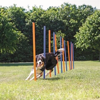 TRIXIE DOG ACTIVITY AGILITY SLALOM STOKKEN BLAUW / ORANJE
