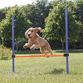 TRIXIE DOG ACTIVITY AGILITY HORDE BLAUW / ORANJE