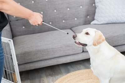 TRIXIE DOG ACTIVITY TARGET STICK AANWIJSSTOK ASSORTI