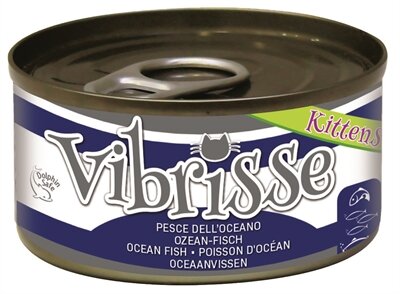 VIBRISSE KITTENS CAT OCEAANVIS