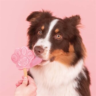 SMOOFL IJSMIX VOOR HONDEN WATERMELOEN
