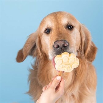 SMOOFL IJSMIX VOOR HONDEN PINDAKAAS