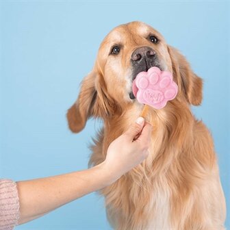 SMOOFL IJSMIX VOOR HONDEN AARDBEI