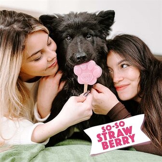 SMOOFL IJSMIX VOOR HONDEN AARDBEI