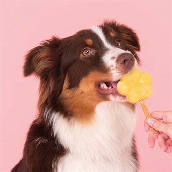 SMOOFL IJSMIX VOOR HONDEN APPEL