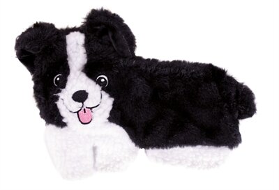FOFOS PUPPY HOME BORDERCOLLIE
