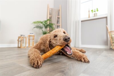 TRIXIE DENTA FUN ROLL VAN COLLAGEEN MET KIP
