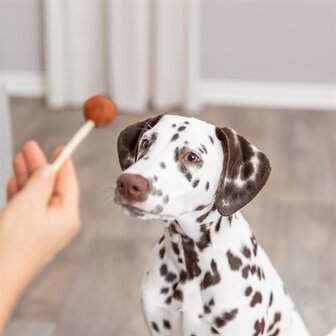 TRIXIE PREMIO LOLLY MET KABELJAUW