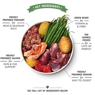 LILY&#039;S KITCHEN DOG WILD CAMPFIRE STEW