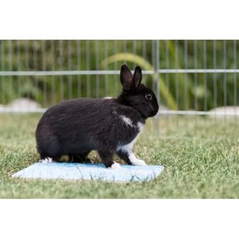TRIXIE KOELPLAAT VOOR KLEINE DIEREN BLAUW
