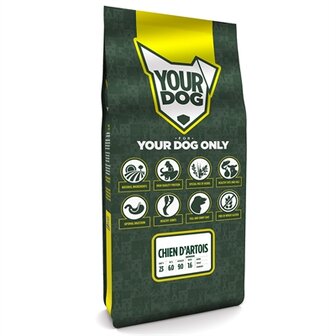 YOURDOG CHIEN D&#039;ARTOIS SENIOR