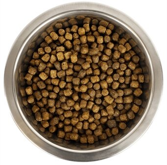 YOURDOG KONINGSPOEDEL PUP