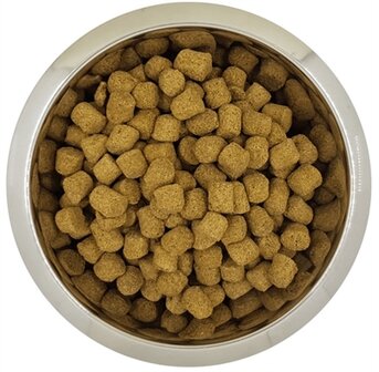 YOURDOG KONINGSPOEDEL VOLWASSEN