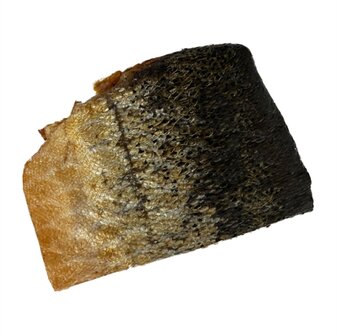 PETSNACK ZALMHUID BLAFSTASTISCHE HONDENSNACK