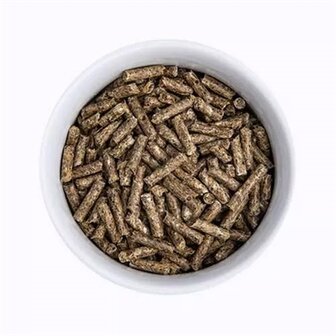 BUNNY NATURE HEALTHFOOD PROFIT