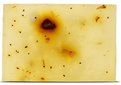 BELOVED VEGAN PET SHAMPOO BAR