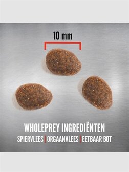 ORIJEN WHOLE PREY TUNDRA CAT