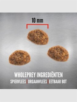 ORIJEN ORIGINAL CAT