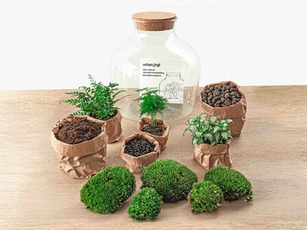 Terrarium Diy Kit - Fat Joe Green - Bottle Garden - &uarr; 30 Cm Yes
