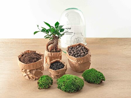 Terrarium Diy Kit - Egg Xl Bonsai - Bottle Garden - &uarr; 30 Cm