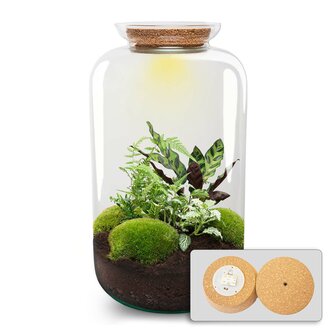 Terrarium Diy Kit - Botanical Sven Xl + Light - Bottle Garden - &uarr; 43 Cm