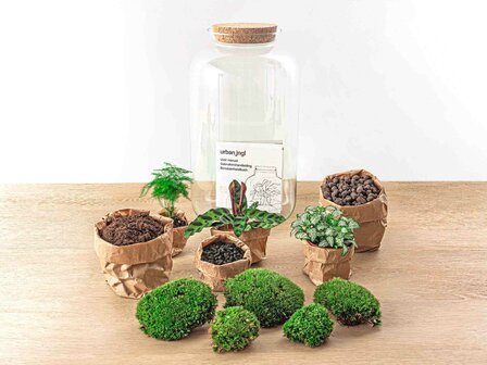Terrarium Diy Kit - Botanical Sven Xl + Light - Bottle Garden - &uarr; 43 Cm