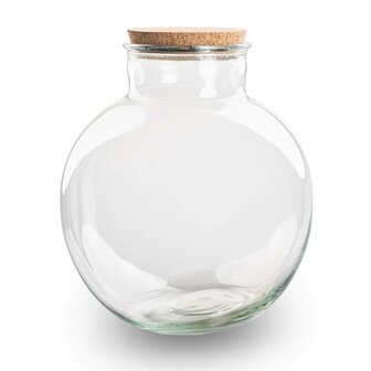 Terrarium Bottle With Cork - Bolder Bob - Closed Terrarium &uarr; 30 Cm