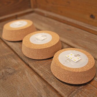 Cork With Led - Terrarium Cork With Light -  3 Sizes Available Led cork M