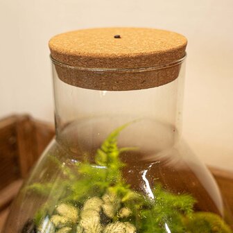 Cork With Led - Terrarium Cork With Light -  3 Sizes Available Led Cork L