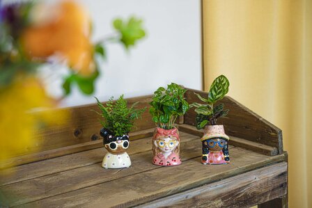 Mini Flower Pot Multi Color &ndash; Mini Jessica - &uarr; 10.5 Cm - Face Head Yes