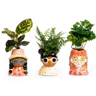 Mini Flower Pot Multi Color &ndash; Mini Jessica - &uarr; 10.5 Cm - Face Head Yes