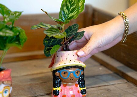 Mini Flower Pot Multi Color &ndash; Mini Jill - &uarr; 10.2 Cm - Face Head Yes