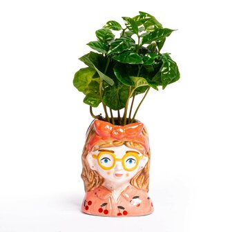 Mini Flower Pot Multi Color - Bobbi - Face Head - 10.5 Cm Yes
