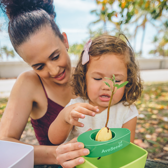 Avocado Kit &ndash; Grow Your Own Avocado!