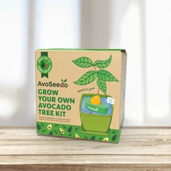 Avocado Kit &ndash; Grow Your Own Avocado!