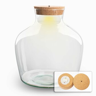 Terrarium With Cork - Fat Joe + Led Cork - Closed Terrarium &uarr; 30 Cm