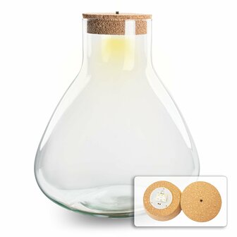 Terrarium With Cork - Sam Xl With Led Cork - &uarr; 32 Cm