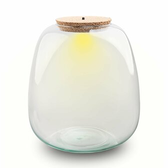 Terrarium Bottle With Cork - Model: Emma + Led Cork  - &uarr; 25 Cm -  &Oslash; 23 Cm
