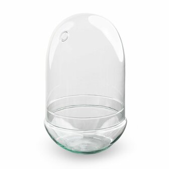 Egg Xl Glass Bulb - Bell Jar - Closed Terrarium &uarr; 30 Cm - Model: Egg Xl