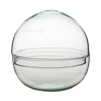 Dome - Globe Glass - Bell Jar - Closed Terrarium &uarr;20 Cm