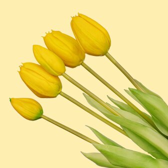 Tulip Bouquet &ndash; 10 Pieces &ndash; Mixed Colours &ndash; &lsquo;Real Touch&rsquo; Artificial Tulips &ndash; 42 Cm (White/Green) Green/white